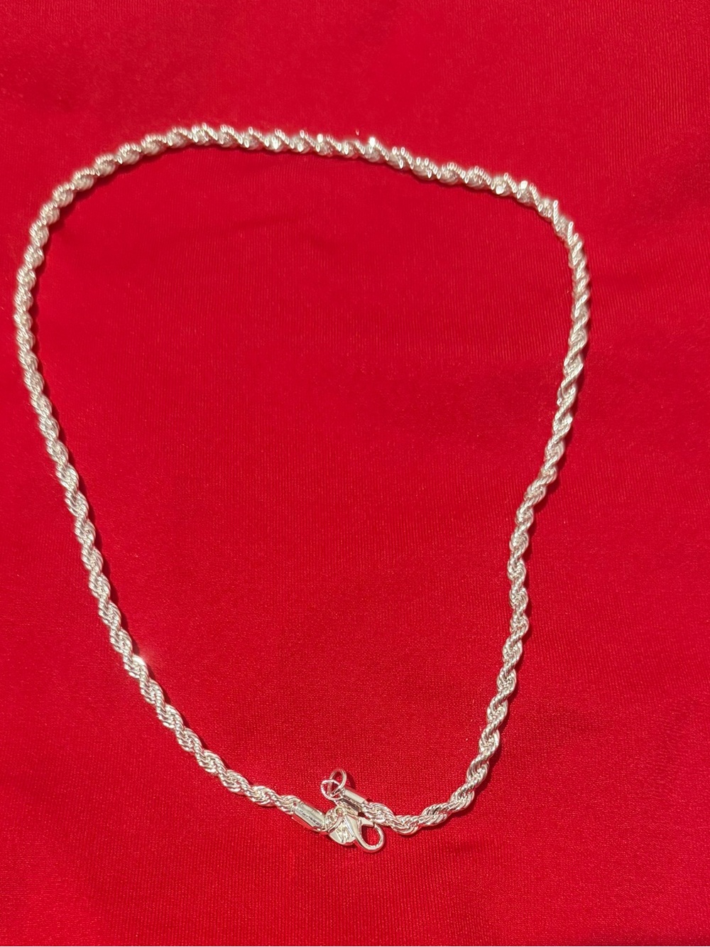 Sterling Silver Rope Chain Necklace - Silver